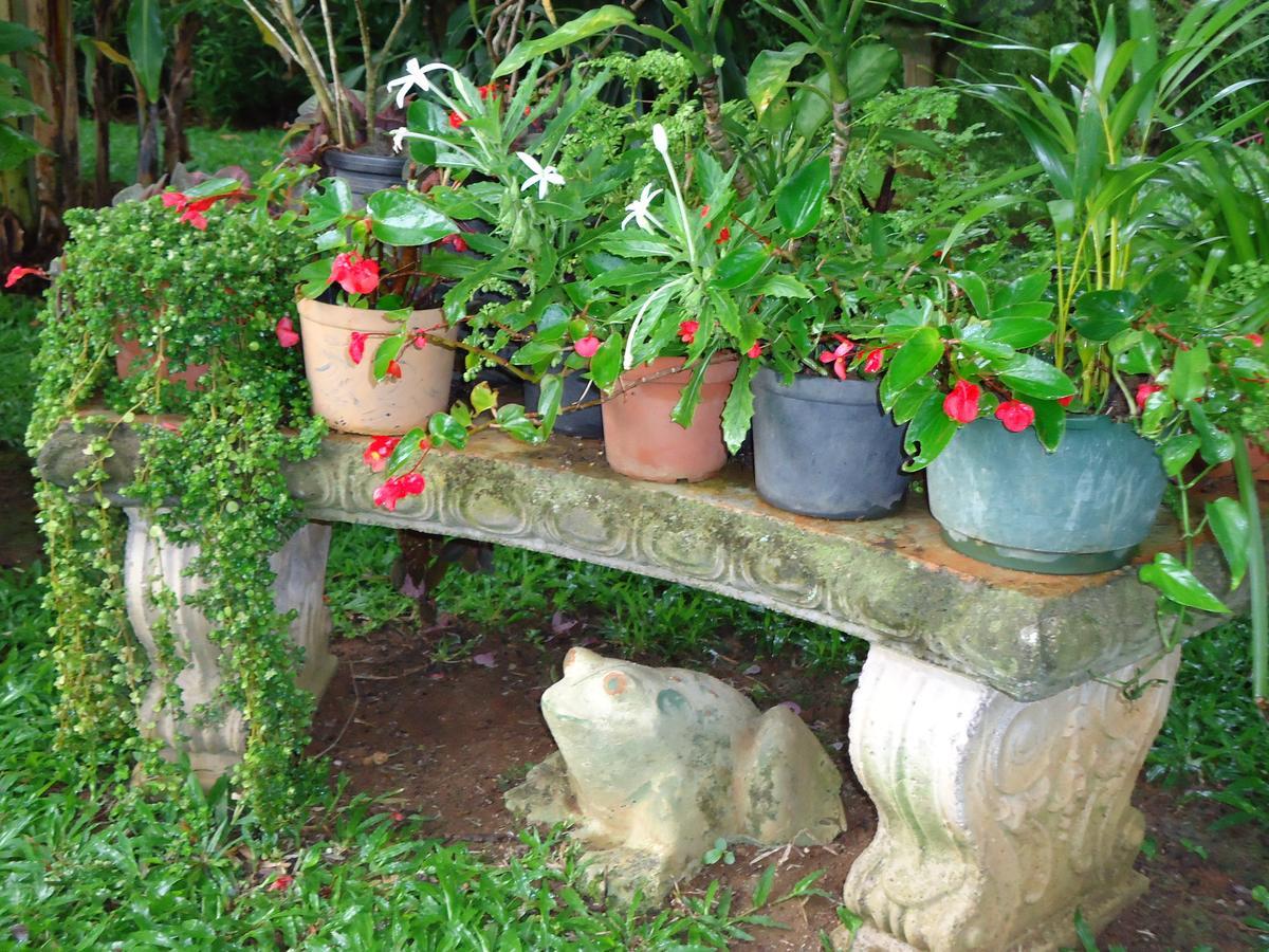 Quinta Don Fernando Bed & Breakfast La Garita  Exterior photo
